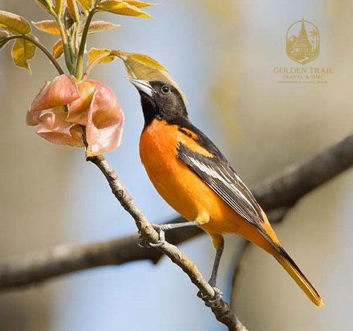 Cuc Phuong Bird Watching Tour: 2 Days of Avian Wonders from Hanoi